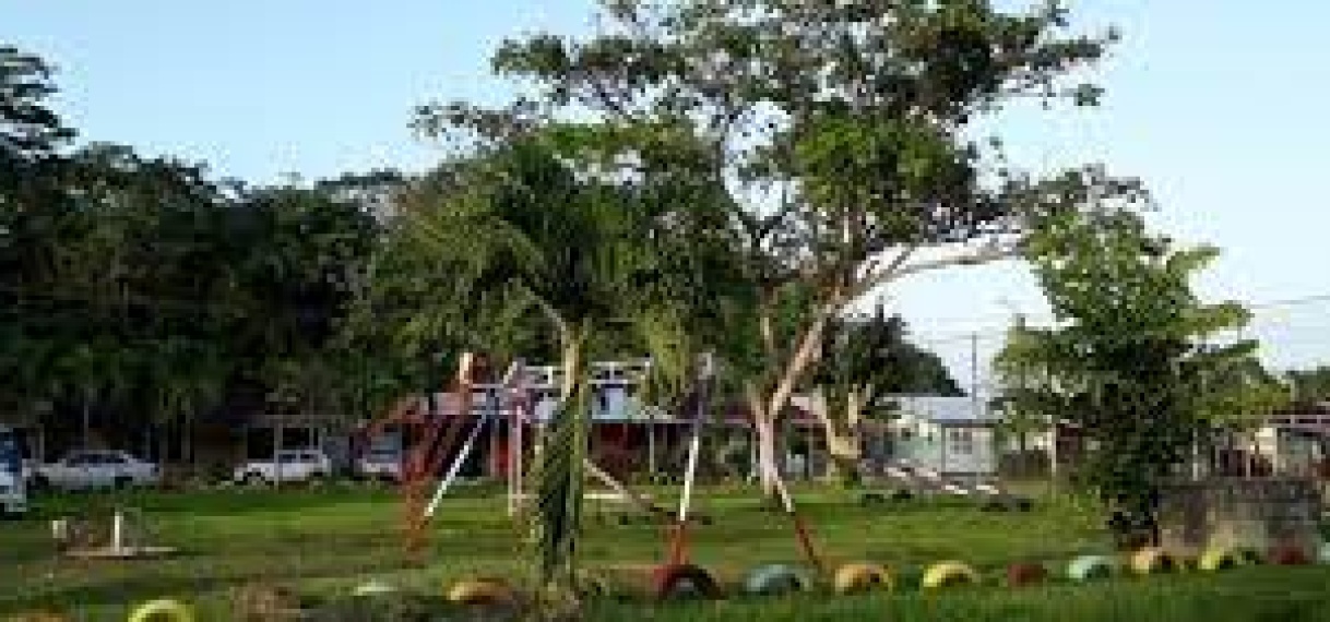ropenbos Suriname presenteert onderzoeksresultaten stedelijk groen in Groot-Paramaribo