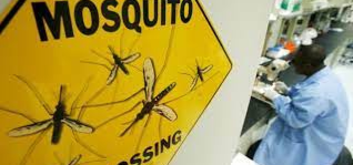 Nieuw malariavaccin kan volgens wetenschappers de wereld veranderen