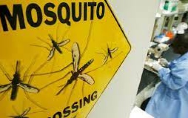 Nieuw malariavaccin kan volgens wetenschappers de wereld veranderen