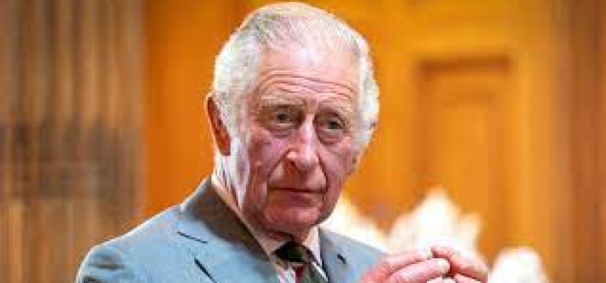 Koning Charles III: Klimaatactivist die zich niet in een malletje wil wurmen