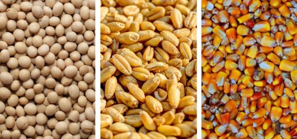 Voorbereidingen voor aanplant in het binnenland