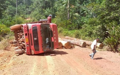 Truck met houtblokken gekanteld