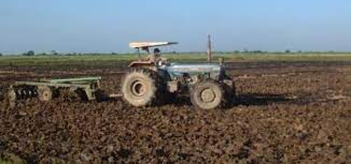 Rijstsector wil algehele vrijstelling inputs