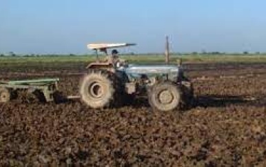 Rijstsector wil algehele vrijstelling inputs