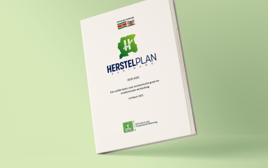 Invoer BTW, onderdeel van herstelplan