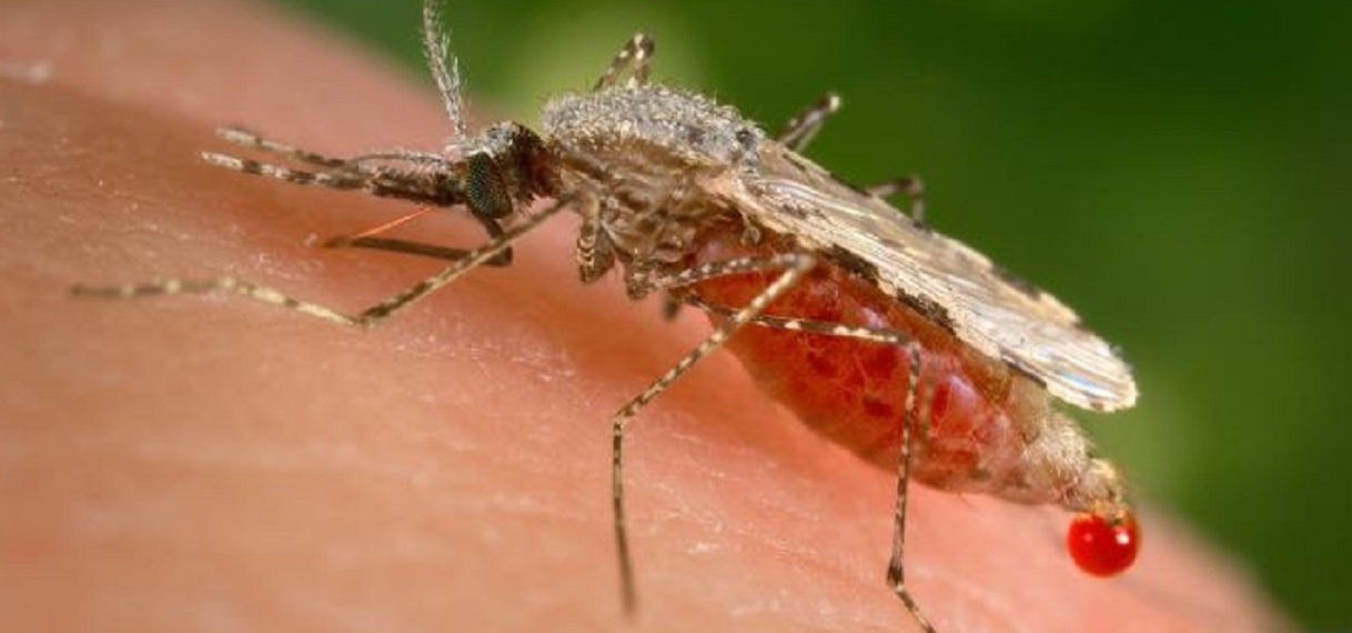 Mi na Malaria Basi-campagne van start