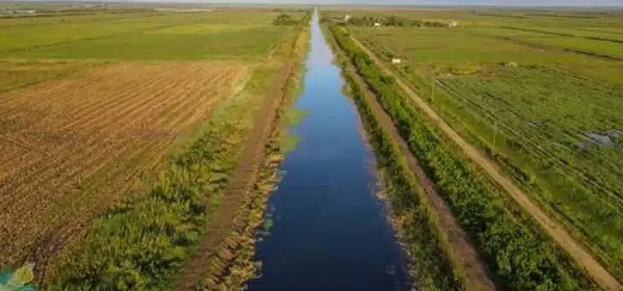 Waterschapsverkiezingen met oog op ontwikkeling rijstpolders