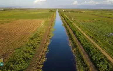 Waterschapsverkiezingen met oog op ontwikkeling rijstpolders