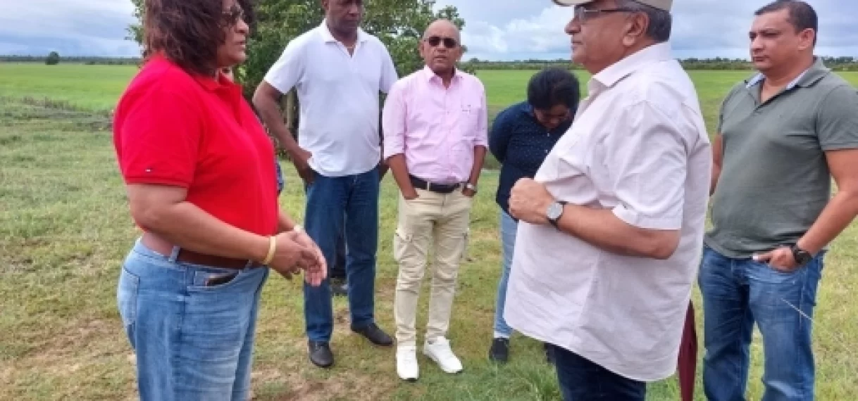 LVV-minister bezoekt door rattenplaag geteisterde gebieden in Nickerie