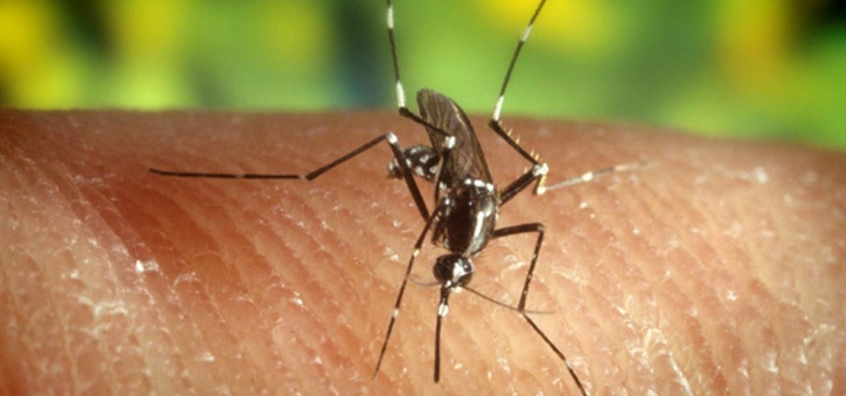 Suriname werkt samen  met partners om Malaria in 2025 te elimineren