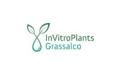 InVitroPlants Grassalco, NH en LVV slaan handen in een