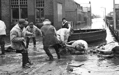 Hond die tientallen koeien redde tijdens Watersnoodramp krijgt standbeeld