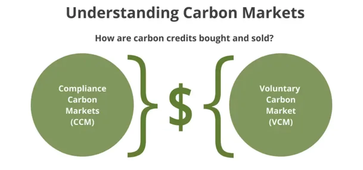 ”Carbon credit geen monetaire instrument”