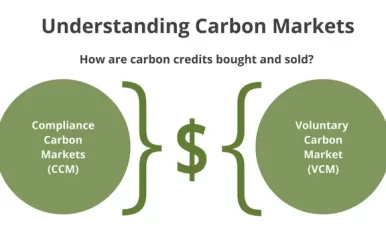 ”Carbon credit geen monetaire instrument”