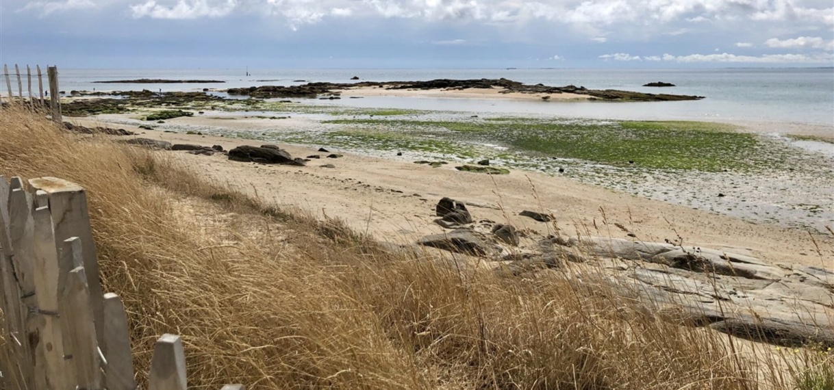 800 kilo cocaïne spoelt aan op strand in Noord-Frankrijk