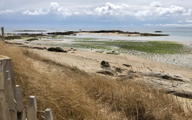 800 kilo cocaïne spoelt aan op strand in Noord-Frankrijk