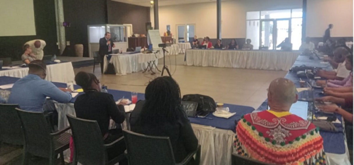 VIDS vraagt urgente aandacht OAS-Mensenrechtencommissie over conceptwet ‘Grondconversie’
