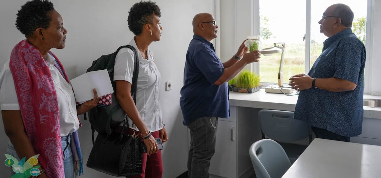 Opschaling ADRON-lab moet innovatie en voedselveiligheid binnen rijstsector opvoeren
