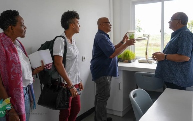 Opschaling ADRON-lab moet innovatie en voedselveiligheid binnen rijstsector opvoeren