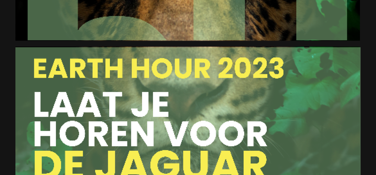 WWF-Guianas kondigt Earth Hour 2023 aan: Laat je horen voor de jaguar!