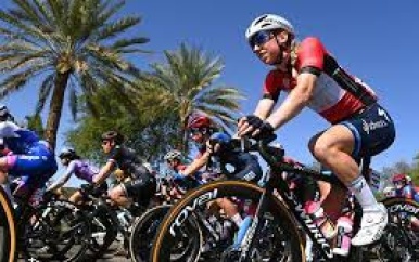 Wiebes raakt leiderstrui in bergetappe UAE Tour kwijt aan Longo-Borghini