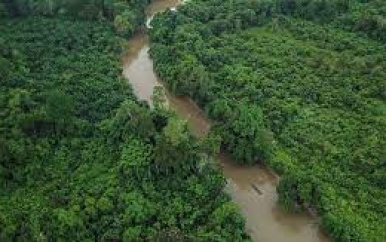 Agro industrie en tropisch bos verdienen meer aandacht