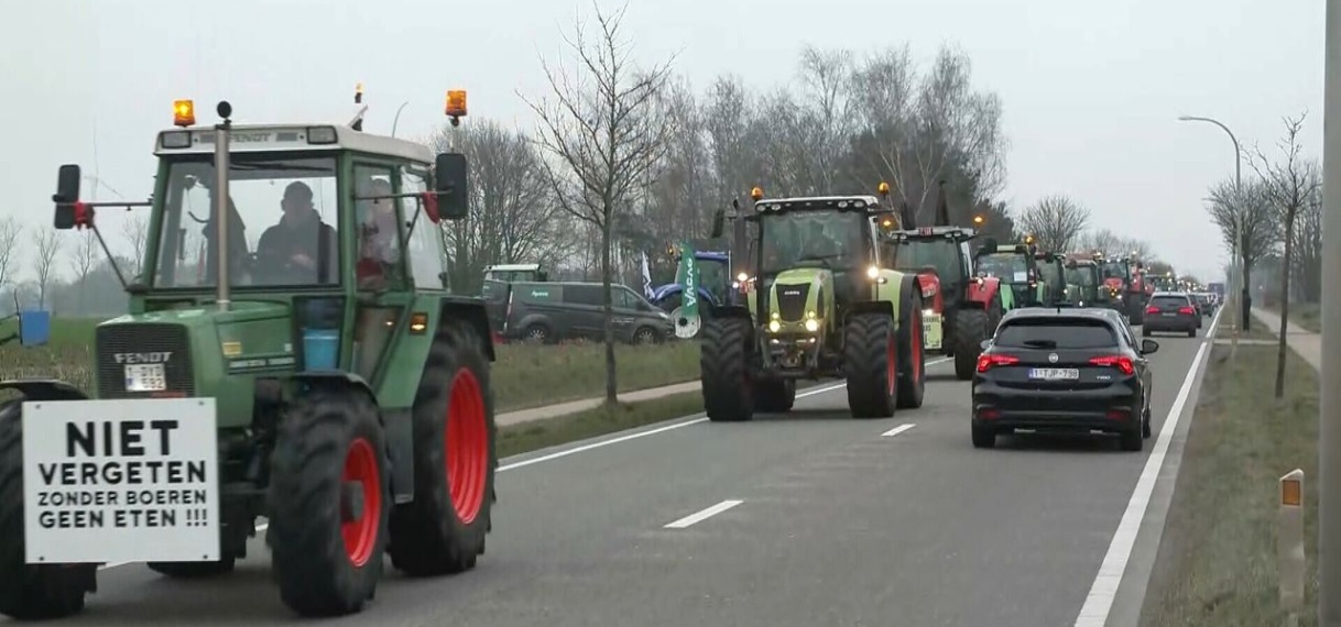 Vlaamse boeren protesteren in Brussel tegen stikstofplannen