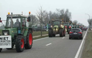 Vlaamse boeren protesteren in Brussel tegen stikstofplannen