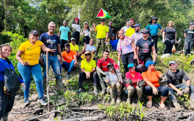 Rotaract club of Genesis plant mangrovebomen te Weg naar Zee