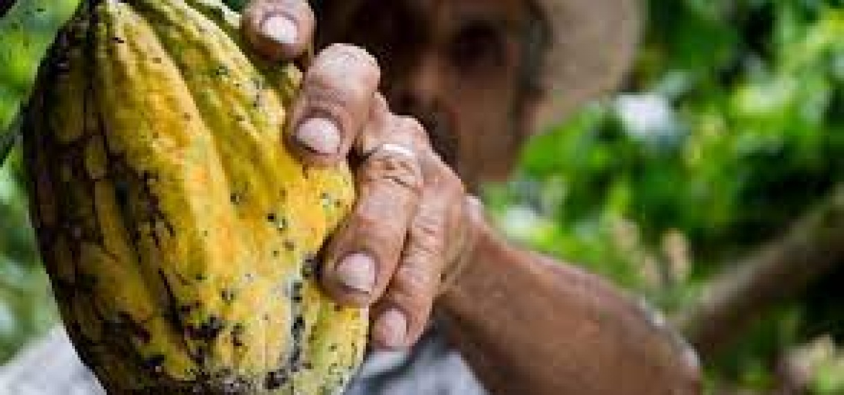 FAO-vertegenwoordiger bespreekt lopende projecten in Suriname