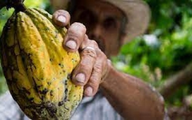 FAO-vertegenwoordiger bespreekt lopende projecten in Suriname