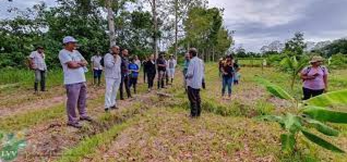 CELOS organiseert velddag voor boeren op proeftuin te Saramacca