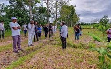 CELOS organiseert velddag voor boeren op proeftuin te Saramacca