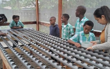 LVV verzorgt practical training aan leerlingen H.A. Siregarschool te Moengo