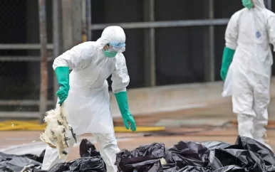 ‘S Werelds eerste menselijke dood door H3N8-vogelgriep geregistreerd in China.