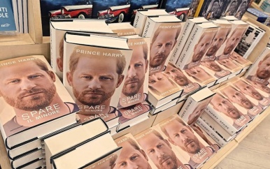 Kunstenaar verkoopt met mensenbloed besmeurde boeken van prins Harry