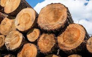 VSB Houtgroep zet zich in voor duurzame ontwikkeling