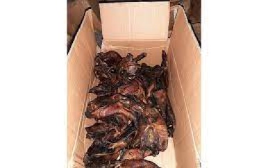 Duitse politie zet bus aan de kant, ontdekt lading gebakken vleermuizen