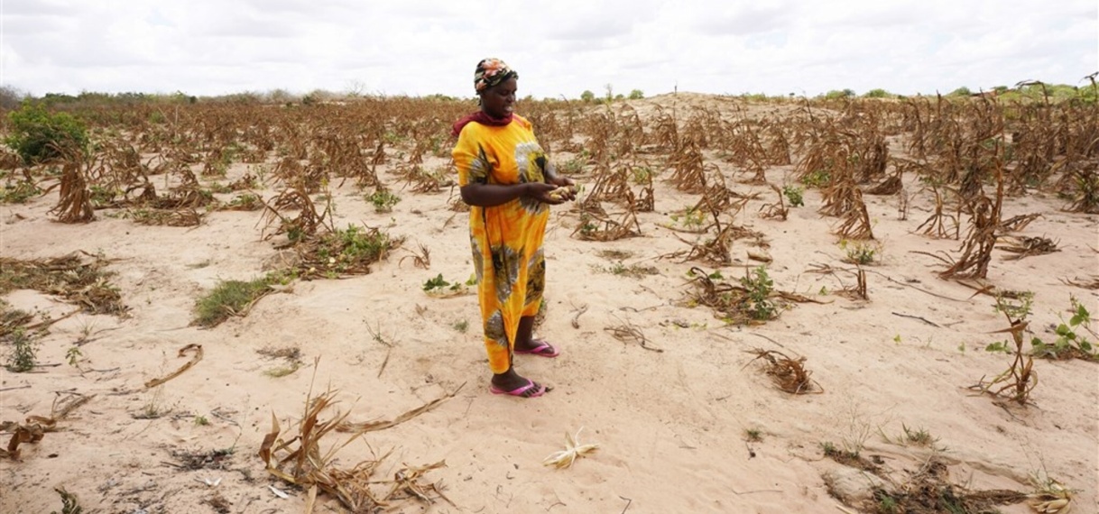 UPDATE: Weerfenomeen El Niño veroorzaakt voor biljoenen aan schade