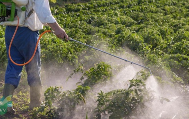 LVV-minister installeert Nationale Pesticiden Raad
