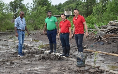 Shell Suriname ondersteunt Mangrove Rehabilitatie Project