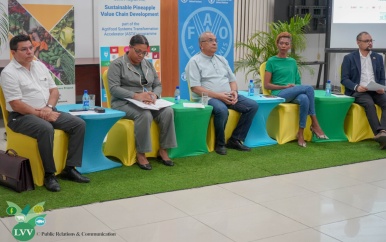 LVV-minister Sewdien: “Ananassector is van vitale betekenis voor landbouwlandschap”