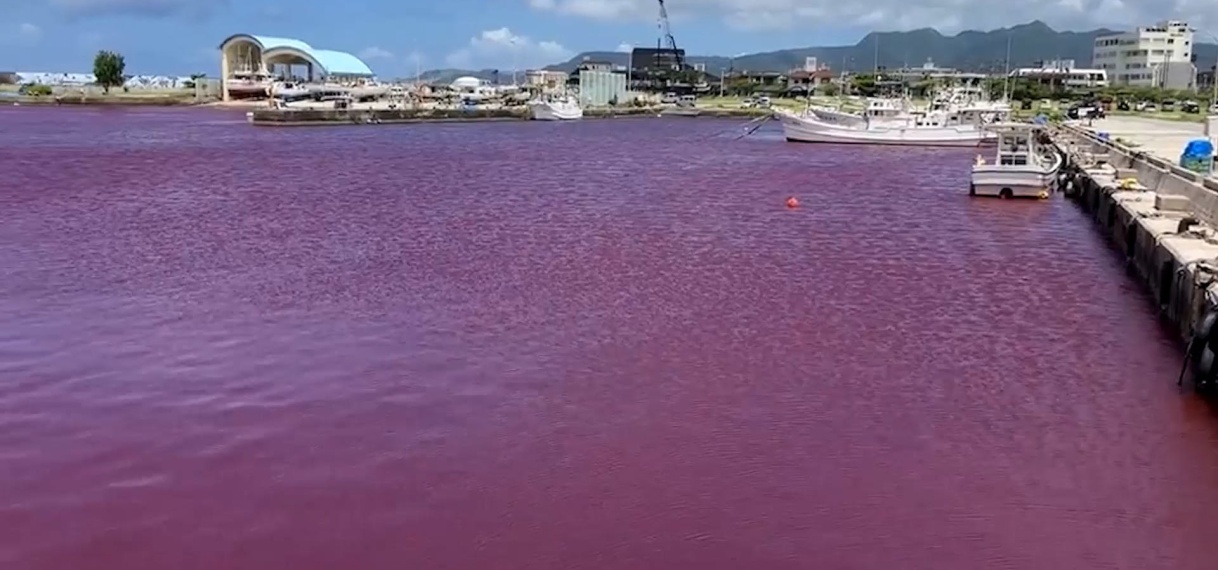 Japanse rivier kleurt roodpaars na lek bij brouwerij