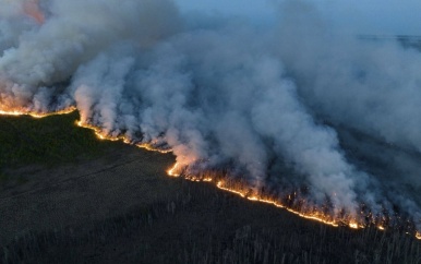Recordoppervlakte natuur afgebrand in Canada: ‘Brandweer kan weinig doen’
