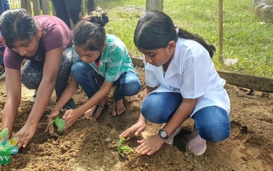 Leerlingen O.S. Pomona leren over landbouw op beroependag