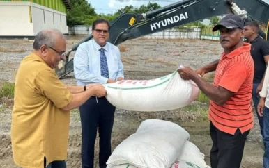Padieboeren ontvangen een zak ureum per hectare