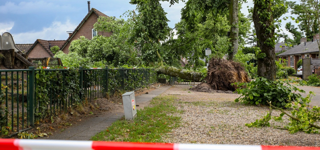 Kleine tornado rond Apeldoorn, bomen uit de grond gerukt