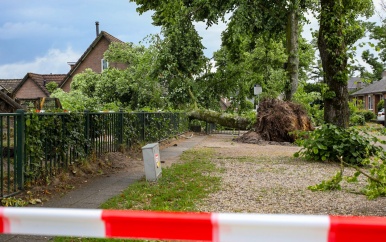 Kleine tornado rond Apeldoorn, bomen uit de grond gerukt