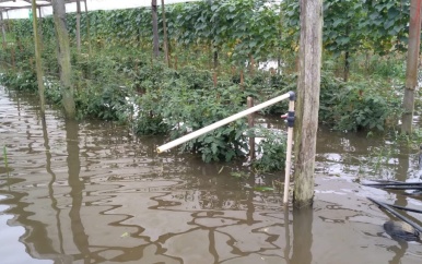 Landbouwgebieden in Saramacca zullen geen wateroverlast meer hebben