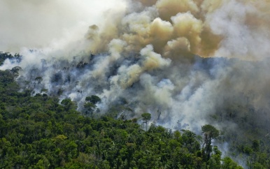 Afbraak Amazone tijdens Bolsonaro erger dan gedacht: uitstoot verdubbelde